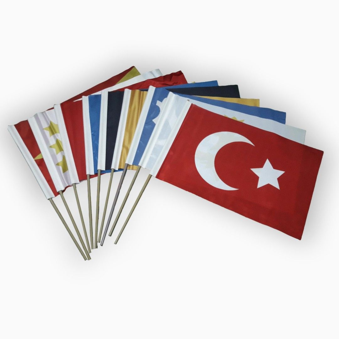 16 Büyük Türk Devleti Sopalı Bayrak Seti (30x45 cm)