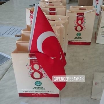 Sopalı Türk Bayrağı | 20x30 cm | Alpaka Kumaş