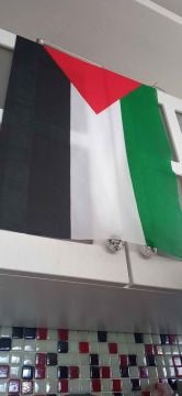 100 adet Filistin Bayrağı 50x70 m Raşel Kumaşa Baskılı Sopalı