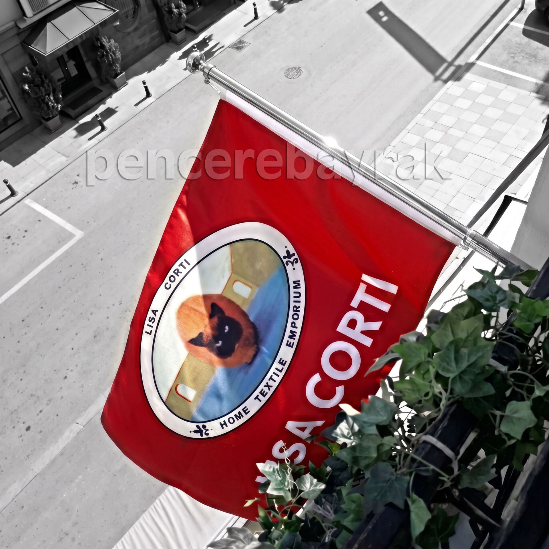 Kurumsal Tanıtım İçin Duvar Tipi Teleskopik Bayrak Direği – 150 cm Krom Kaplama